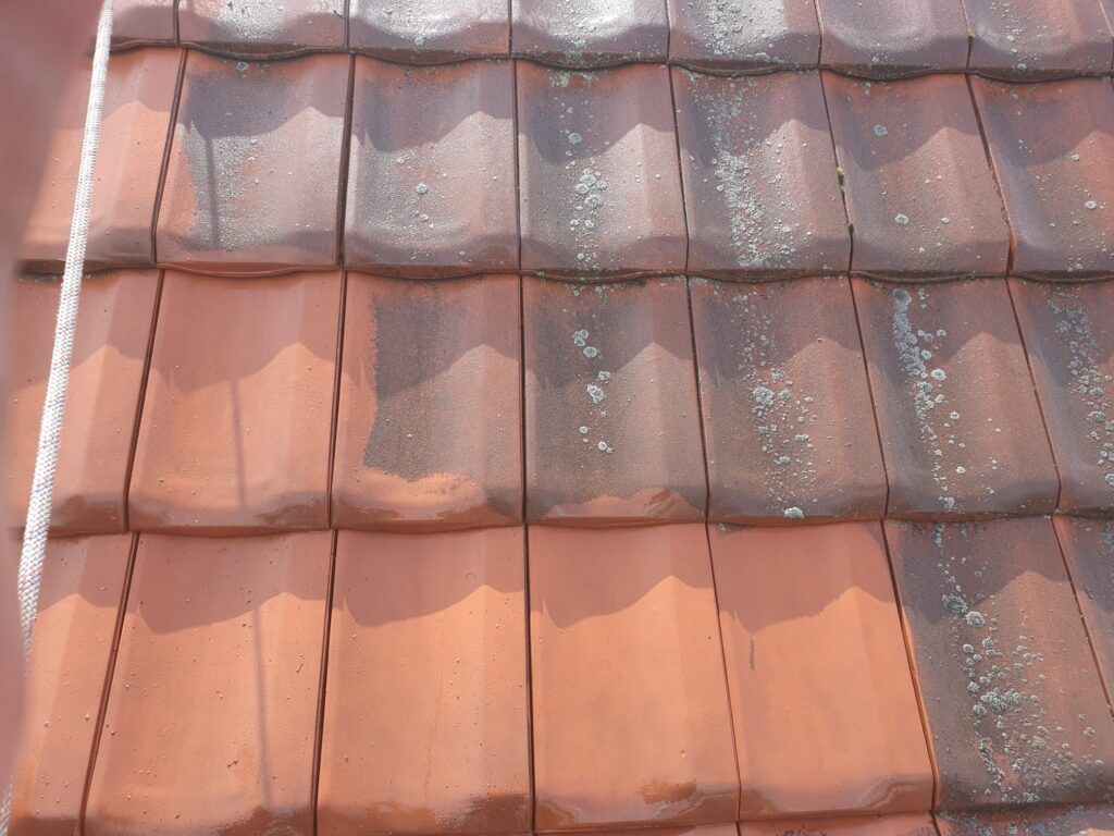 Czyszczenie dachówki